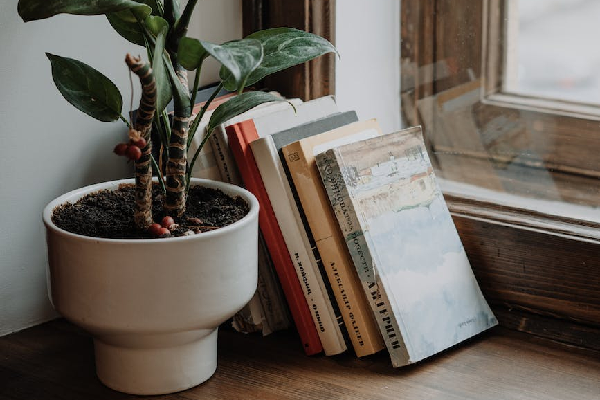 8 Books Ivy Tech Indianapolis’ Disability Support Services recommends for National Disability Awareness&nbsp;Month