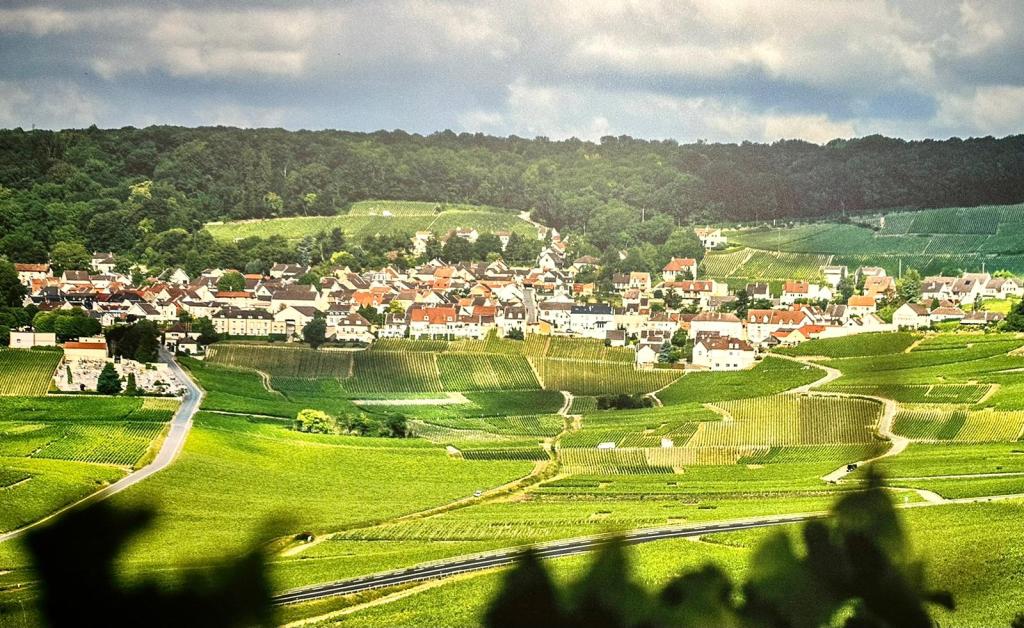 Hospitality Administration Program’s yearly international trip is ‘once-in-a-lifetime experience’ for many of our&nbsp;students